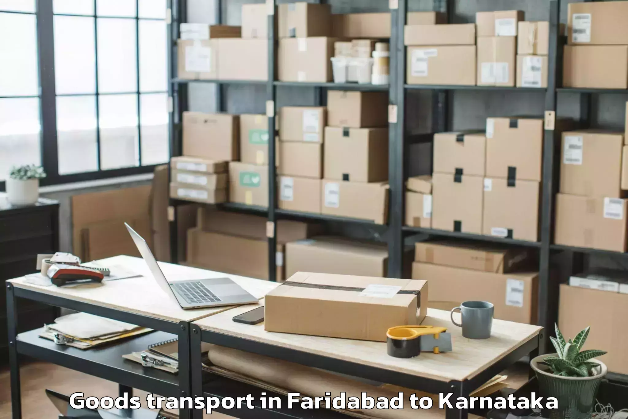 Quality Faridabad to Gurramkonda Goods Transport